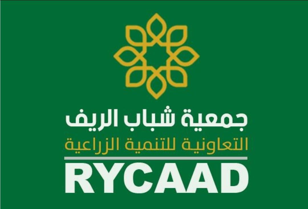 شبكة شباب الريف