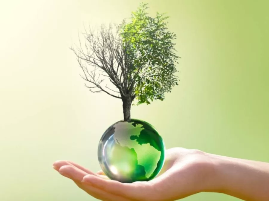 صورة المشروع 2